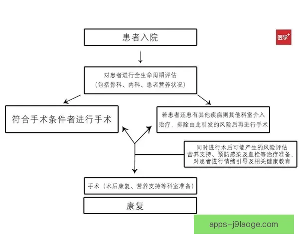 国家队伤停核心球员复苏指南从康复到重返巅峰的系统路径解析